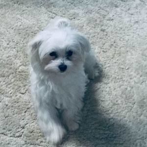 Meet your Posher, Doreen